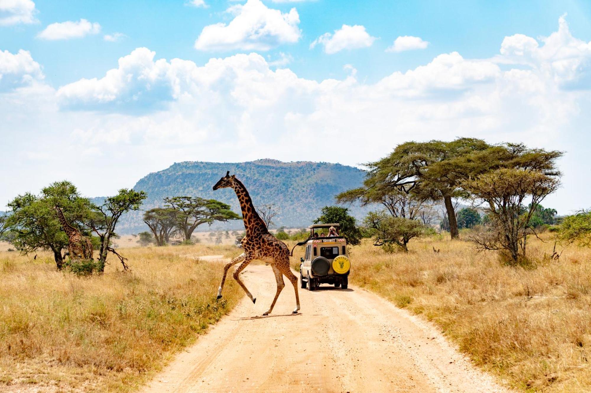 Kananga Special Tented Camp Banagi Buitenkant foto
